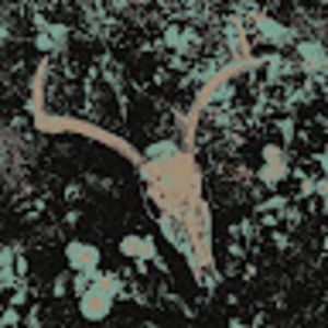 Meet your Posher, Jaiden